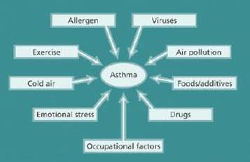 Asthma Triggers