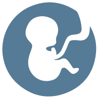 Prenatal Care