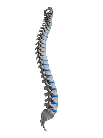 Spinal