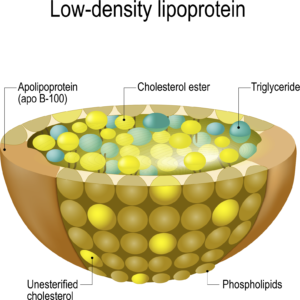 Cholesterol Screening