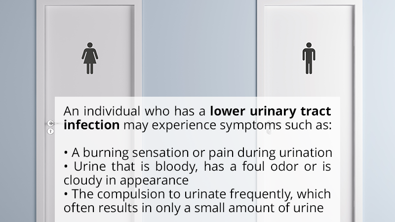 UTI Treatment Options