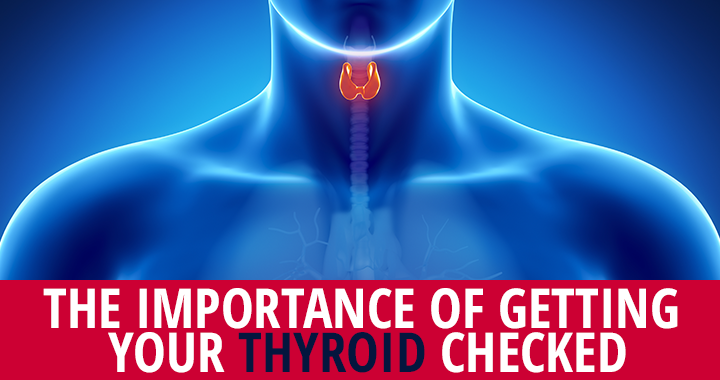 All About the Thyroid