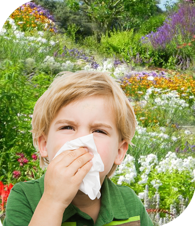 Allergy Symptoms & Treatment in The Woodlands, Texas