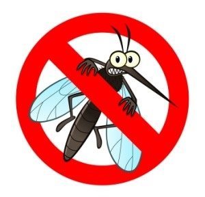 World Mosquito Day