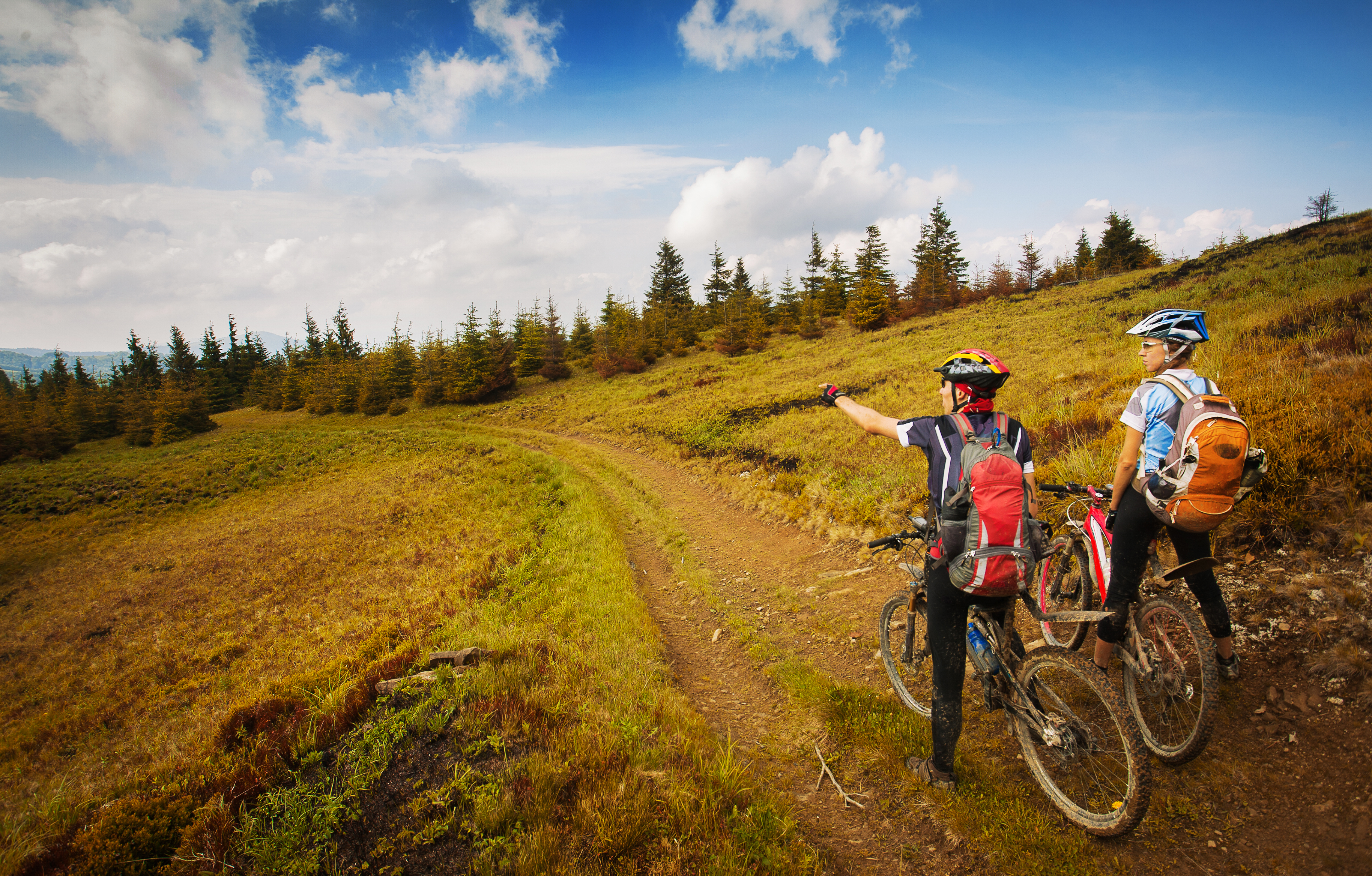 Two bikers looking at a trail 